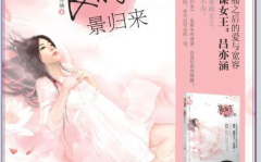 花火系列小说,青春记忆中的璀璨星辰