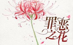罪恶之城无弹窗,少年恶魔与精灵血脉的位面征战之旅