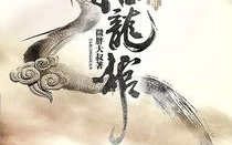 抬龙棺 小说,揭开青龙山千年之谜