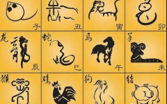 21年是什么生肖年,属牛的特质与运势展望”