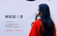 顾暖暖重生小说,顾暖暖的逆袭之路