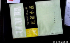 ai写作短篇小说怎么写,短篇小说生成指南