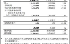 中国电力公布全年业绩,清洁能源占比超80%，净利润同比增长25%