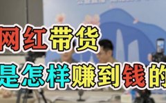 怎样成网红挣钱呢,如何通过成为网红实现财富增长
