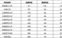 云南排名前十的大网红,揭秘前十热门网络红人魅力瞬间