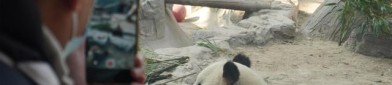 635亿身价湖南女首富杀回顾了-再见“四叔”李兆基：从金铺神童到商界巨擘-盘货2024年爆火的3位美女网红你了解几个？（秀智的心头爱！这款CELINE包正在韩国为何这样炎热？）
