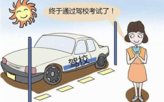 交通考试,理论实践双管齐下，安全驾驶从心出发