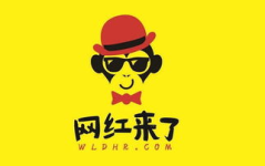 网红资料库,揭秘网络红人的崛起之路