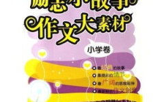 网红事例素材,从平凡到闪耀的逆袭之路