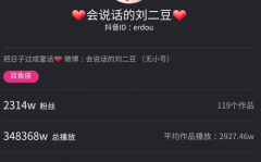 500万粉丝的网红一月收入抖音,流量变现背后的惊人数字
