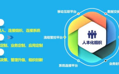 协同管理,构建高效团队协作新篇章