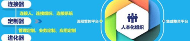 协同管理,构建高效团队协作新篇章