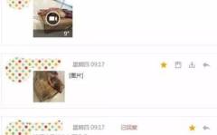 什么叫爆料信息内容,如何准确爆料，助力信息传播与真相呈现