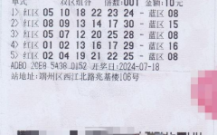 中国福彩网双色球,揭秘中国福利彩票的乐透魅力