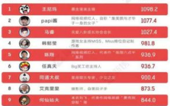 中国网红市场调研报告总结分析,趋势洞察与未来展望