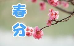 春分是什么时候,阴阳平衡，万物复苏的时节