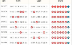 双色球开机号和试机号,揭秘开奖奥秘与投注策略