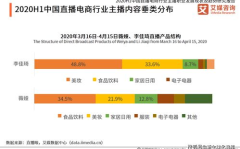 网红市场现状,网红经济浪潮下的市场演变与未来趋势解析