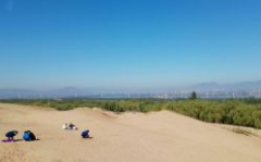 天漠旅游区,天漠旅游区全景解析