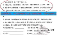 旅游合同,保障权益，规范旅游服务