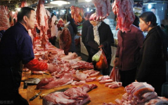 猪肉价格大跌,市场波动背后的原因与影响