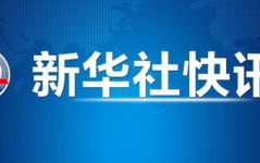 新华社最新消息,货币政策与财政政策双管齐下，助力经济高质量发展